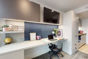 Gallery image 1