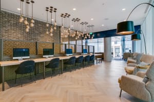 Gallery image 15