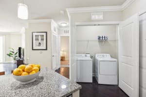 Gallery image 7