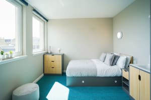 Gallery image 4
