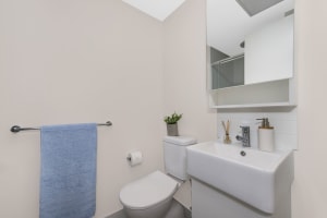 Gallery image 11