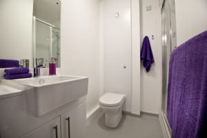 Gallery image 9