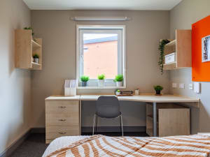 Gallery image 10