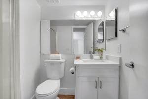 Gallery image 12