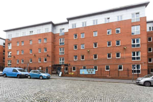 Gallery image 8