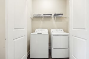 Gallery image 10