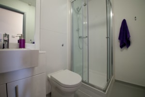 Gallery image 14