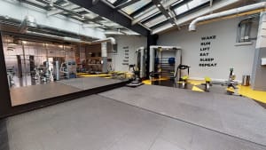Gallery image 8