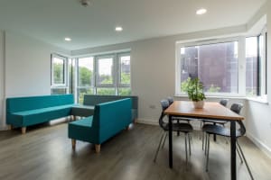 Gallery image 15