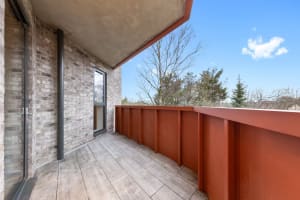 Gallery image 9