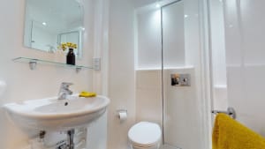 Gallery image 10