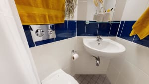 Gallery image 7
