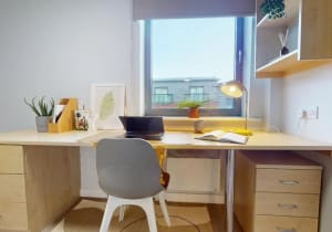 Gallery image 5