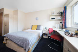 Gallery image 7