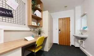 Gallery image 7