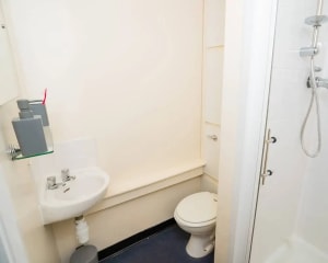Gallery image 7