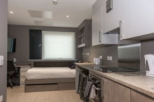 Gallery image 1