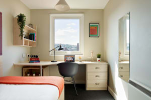 Gallery image 6