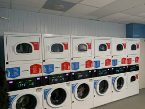 Gallery image 10
