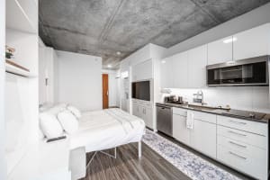Gallery image 19