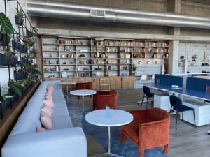 Gallery image 10