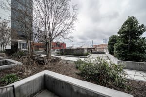 Gallery image 19