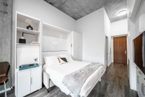 Gallery image 15