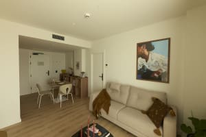 Gallery image 38