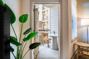Gallery image 13