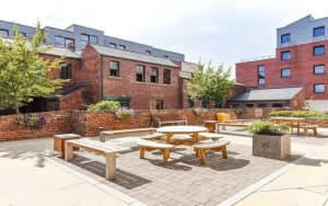 Gallery image 10