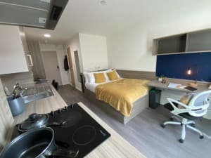 Gallery image 7