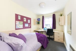 Gallery image 9