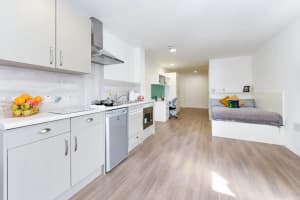 Gallery image 9