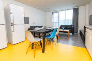 Gallery image 6