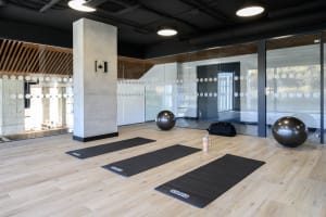 Gallery image 18