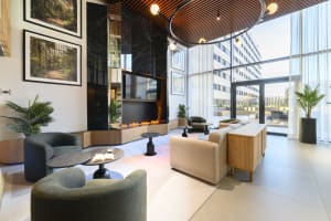 Gallery image 19