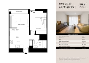 Gallery image 15
