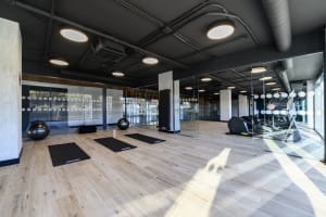 Gallery image 50
