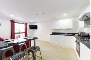 Gallery image 5