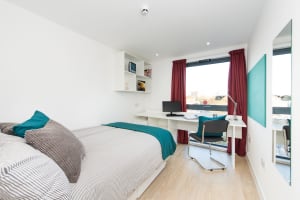 Gallery image 2