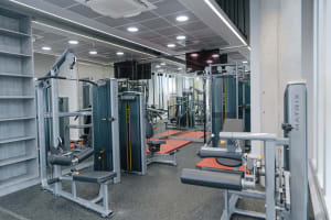 Gallery image 10