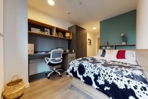 Gallery image 2