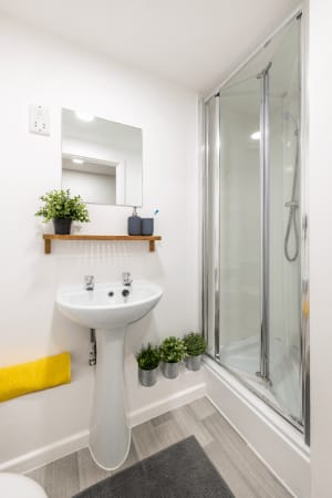 Gallery image 6