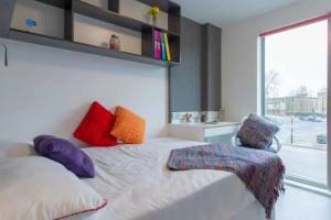 Gallery image 6