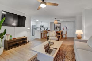 Gallery image 12
