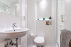 Gallery image 9