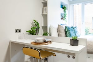 Gallery image 11