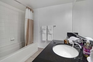 Gallery image 15
