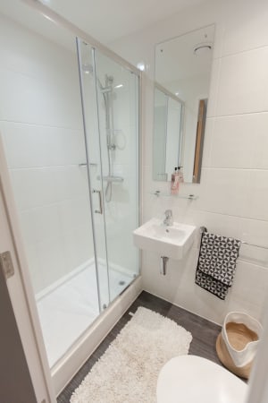 Gallery image 12
