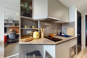 Gallery image 5